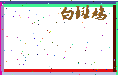 「白斑鸠」姓名分数91分-白斑鸠名字评分解析-第4张图片