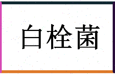 「白栓菌」姓名分数98分-白栓菌名字评分解析-第1张图片