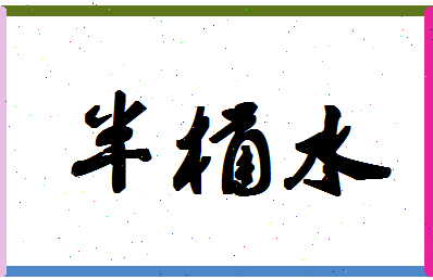 「半桶水」姓名分数96分-半桶水名字评分解析-第1张图片