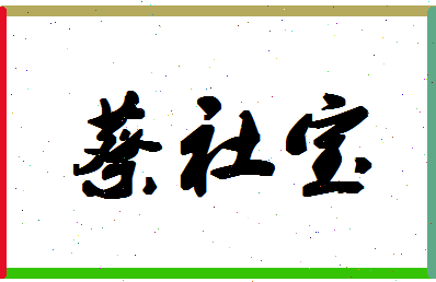 「蔡社宝」姓名分数96分-蔡社宝名字评分解析-第1张图片