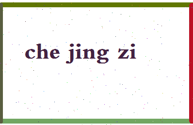 「车静子」姓名分数79分-车静子名字评分解析-第2张图片