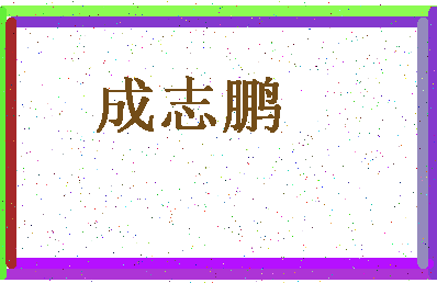 「成志鹏」姓名分数77分-成志鹏名字评分解析-第4张图片