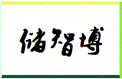 「储智博」姓名分数80分-储智博名字评分解析-第1张图片