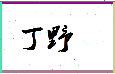 「丁野」姓名分数96分-丁野名字评分解析-第1张图片