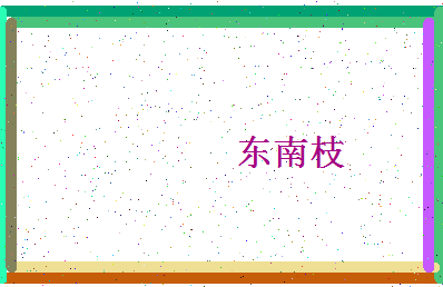 「东南枝」姓名分数86分-东南枝名字评分解析-第4张图片