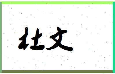 「杜文」姓名分数93分-杜文名字评分解析