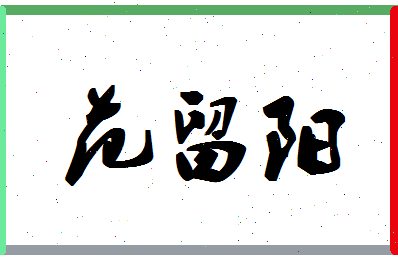 「范留阳」姓名分数88分-范留阳名字评分解析-第1张图片