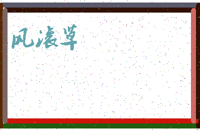 「风滚草」姓名分数85分-风滚草名字评分解析-第3张图片