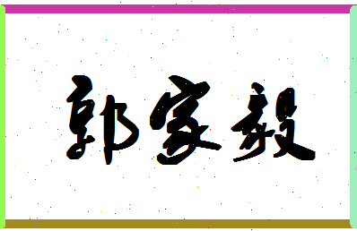 「郭家毅」姓名分数96分-郭家毅名字评分解析-第1张图片