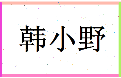 「韩小野」姓名分数74分-韩小野名字评分解析