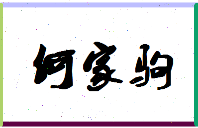 「何家驹」姓名分数98分-何家驹名字评分解析