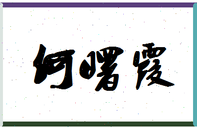 「何曙霞」姓名分数96分-何曙霞名字评分解析-第1张图片