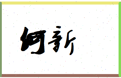 「何新」姓名分数66分-何新名字评分解析