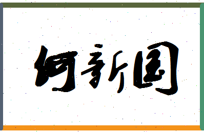 「何新国」姓名分数82分-何新国名字评分解析