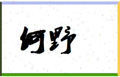 「何野」姓名分数80分-何野名字评分解析