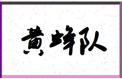 「黄蜂队」姓名分数90分-黄蜂队名字评分解析