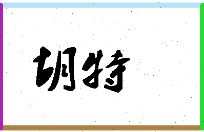 「胡特」姓名分数94分-胡特名字评分解析