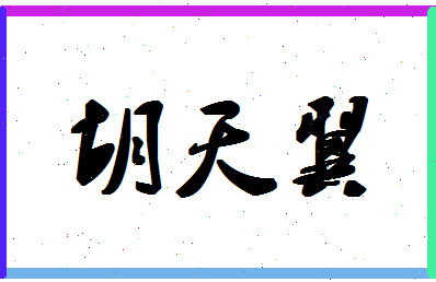 「胡天翼」姓名分数93分-胡天翼名字评分解析