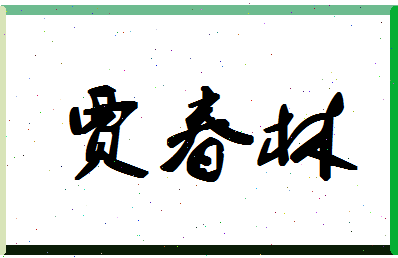 「贾春林」姓名分数77分-贾春林名字评分解析