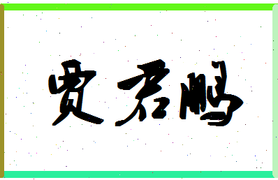 「贾君鹏」姓名分数62分-贾君鹏名字评分解析