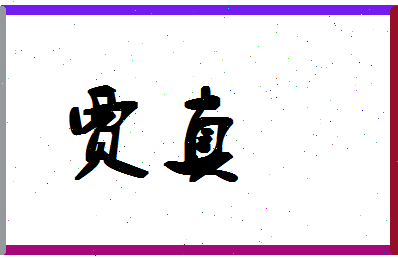 「贾真」姓名分数94分-贾真名字评分解析