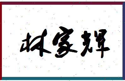 「林家辉」姓名分数98分-林家辉名字评分解析-第1张图片