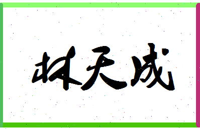 「林天成」姓名分数78分-林天成名字评分解析-第1张图片