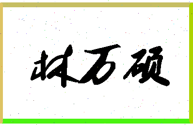 「林万硕」姓名分数93分-林万硕名字评分解析