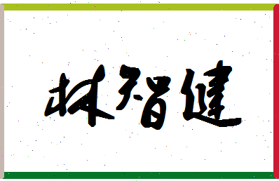 「林智健」姓名分数72分-林智健名字评分解析