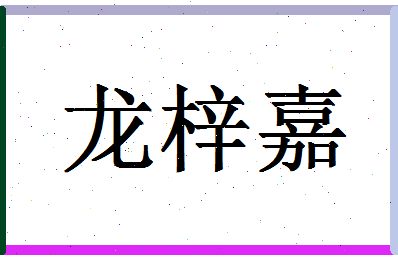 「龙梓嘉」姓名分数91分-龙梓嘉名字评分解析