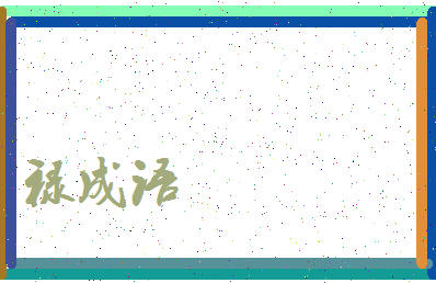 「禄成语」姓名分数74分-禄成语名字评分解析-第3张图片