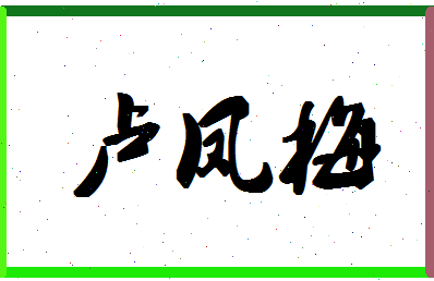 「卢凤梅」姓名分数90分-卢凤梅名字评分解析-第1张图片