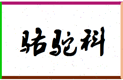 「骆驼科」姓名分数88分-骆驼科名字评分解析