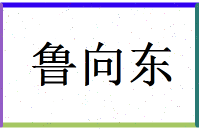 「鲁向东」姓名分数93分-鲁向东名字评分解析