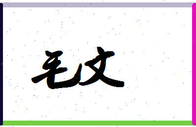 「毛文」姓名分数98分-毛文名字评分解析