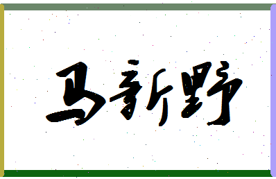 「马新野」姓名分数93分-马新野名字评分解析