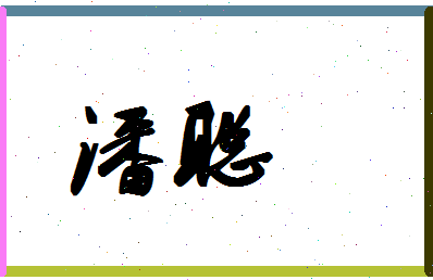 「潘聪」姓名分数98分-潘聪名字评分解析