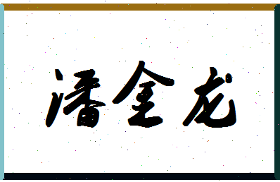 「潘金龙」姓名分数85分-潘金龙名字评分解析-第1张图片