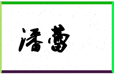 「潘蕾」姓名分数87分-潘蕾名字评分解析