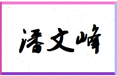 「潘文峰」姓名分数74分-潘文峰名字评分解析