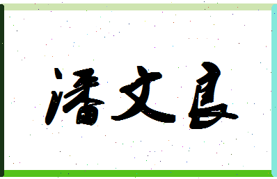 「潘文良」姓名分数74分-潘文良名字评分解析-第1张图片