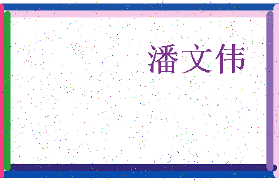 「潘文伟」姓名分数82分-潘文伟名字评分解析-第3张图片