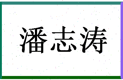 「潘志涛」姓名分数95分-潘志涛名字评分解析