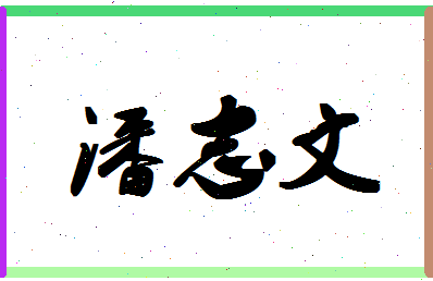 「潘志文」姓名分数90分-潘志文名字评分解析