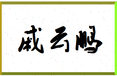 「戚云鹏」姓名分数81分-戚云鹏名字评分解析-第1张图片