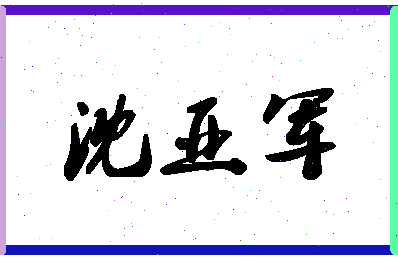 「沈亚军」姓名分数78分-沈亚军名字评分解析