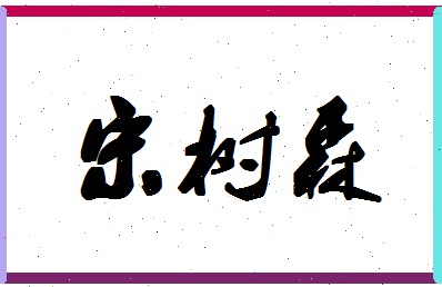 「宋树森」姓名分数90分-宋树森名字评分解析