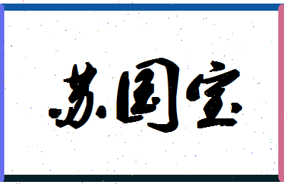 「苏国宝」姓名分数96分-苏国宝名字评分解析-第1张图片