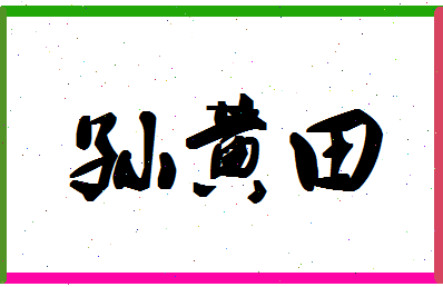 「孙黄田」姓名分数77分-孙黄田名字评分解析