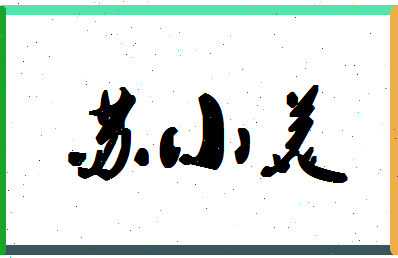 「苏小美」姓名分数80分-苏小美名字评分解析